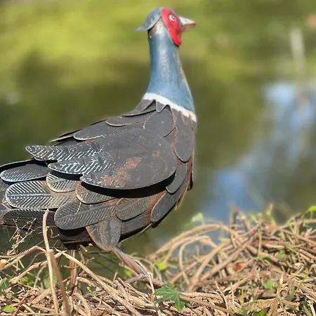 La P'tite Chaumiere * Forges-les-Eaux