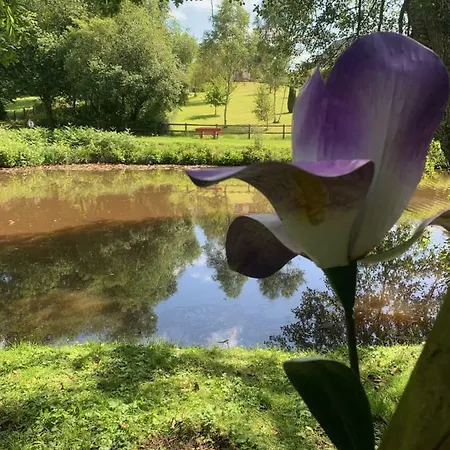 La P'tite Chaumiere * Forges-les-Eaux